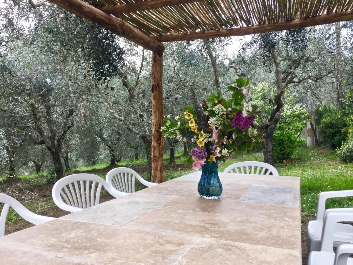 Agriturismo Fattoria Celle Figline Valdarno Exterior foto