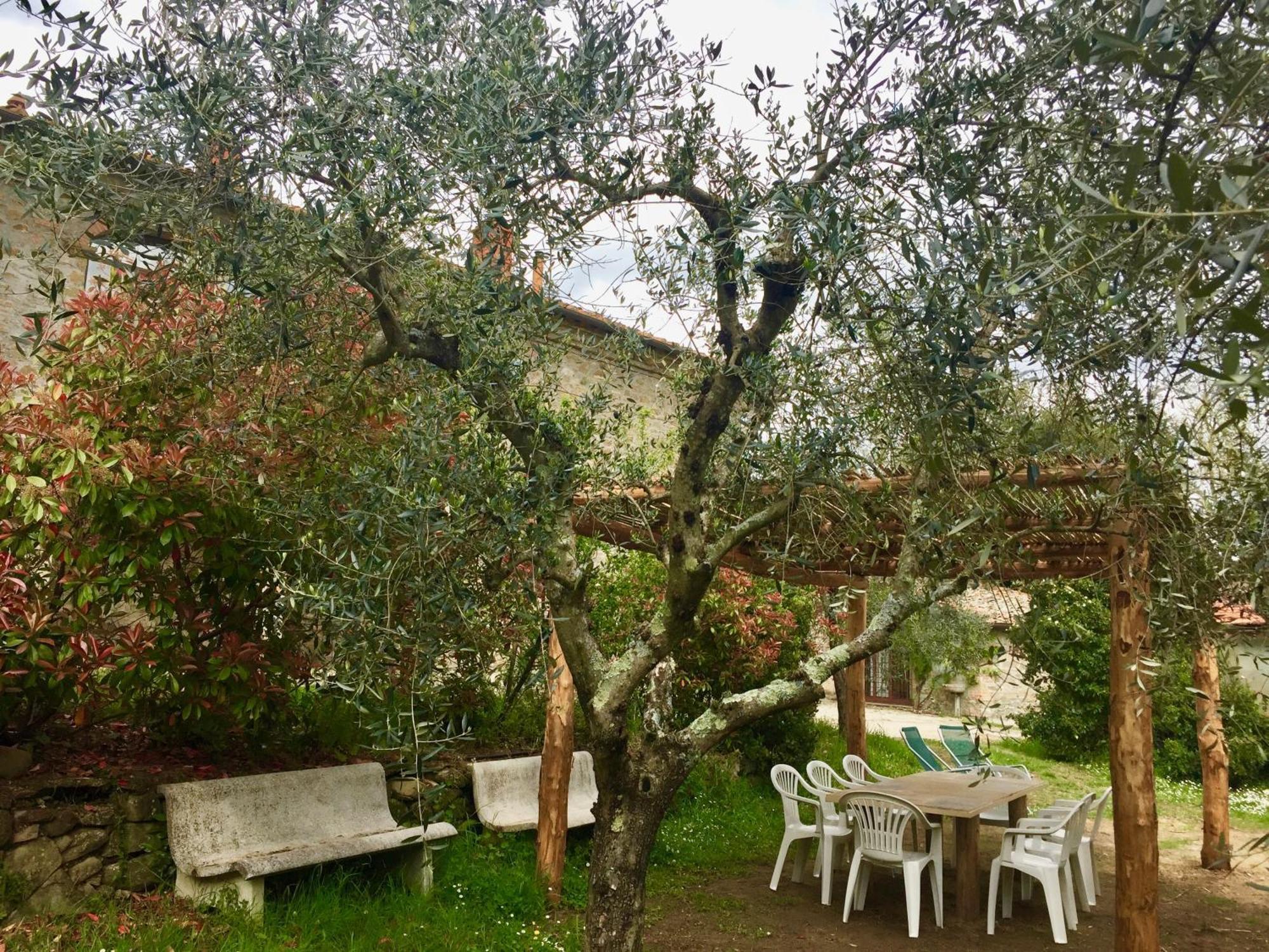 Agriturismo Fattoria Celle Figline Valdarno Zimmer foto