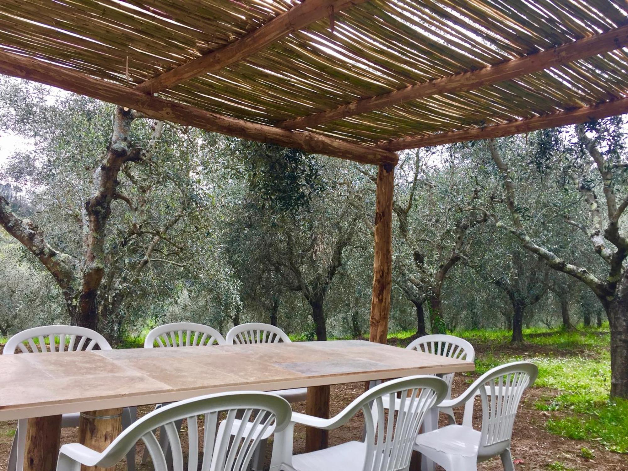 Agriturismo Fattoria Celle Figline Valdarno Zimmer foto