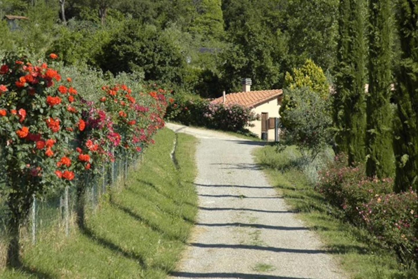 Agriturismo Fattoria Celle Figline Valdarno Zimmer foto